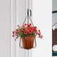 thumbnail image 3 of 4 soportes colgantes para plantas, ganchos de pared de hierro para exteriores, decoración rústica para interiores, faroles, cercas, comederos para pájaros y campanillas de viento, 3 of 8