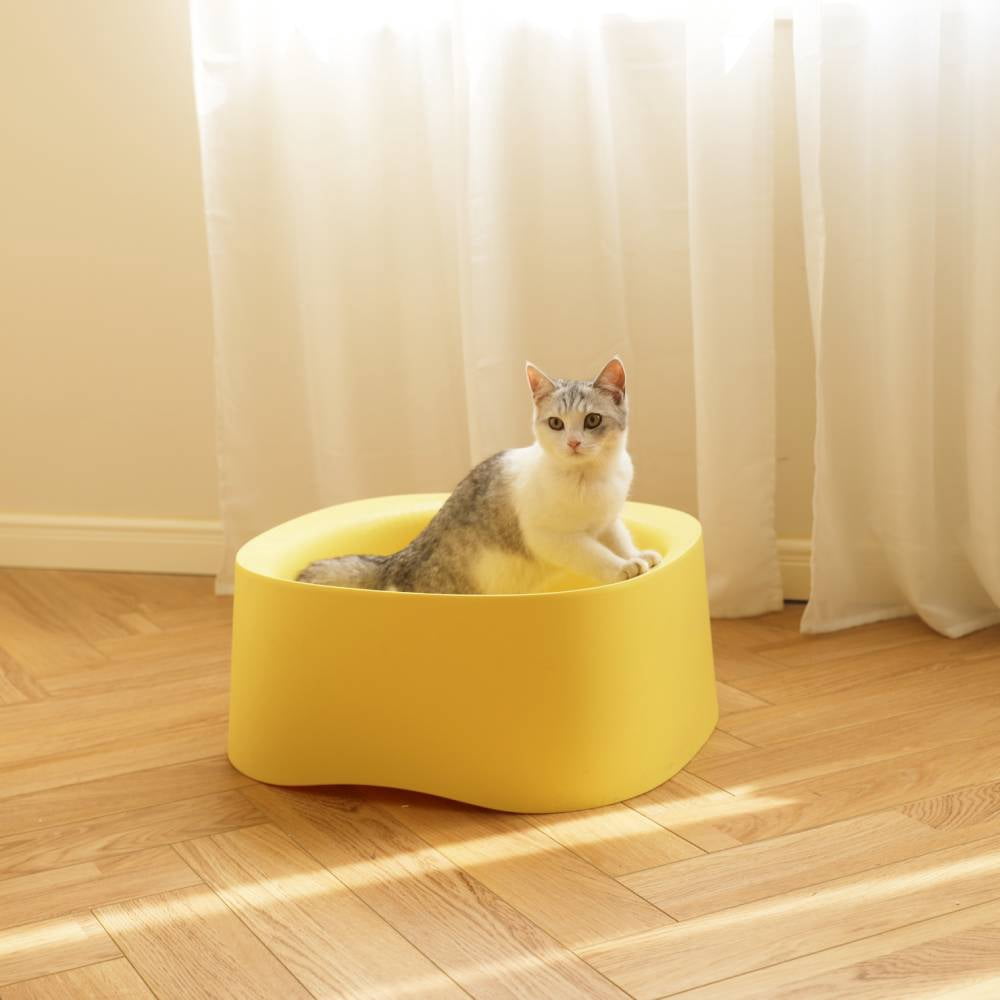 Michu Macaron High Edge Open Style Extra Large Cat Litter Box, Scoop Included Pineapple