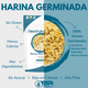 thumbnail image 2 of Harina Germinada de Soya I SIN GLUTEN I 907gr, 2 of 9