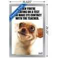 thumbnail image 3 of What Do You Meme - Eye Contact Wall Poster, 14.725" x 22.375", Framed, 3 of 3