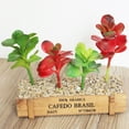 thumbnail image 4 of 4PCS Artificial Succulent DIY Fake Succulent Artificial Plant for Home Decor, 4 of 7
