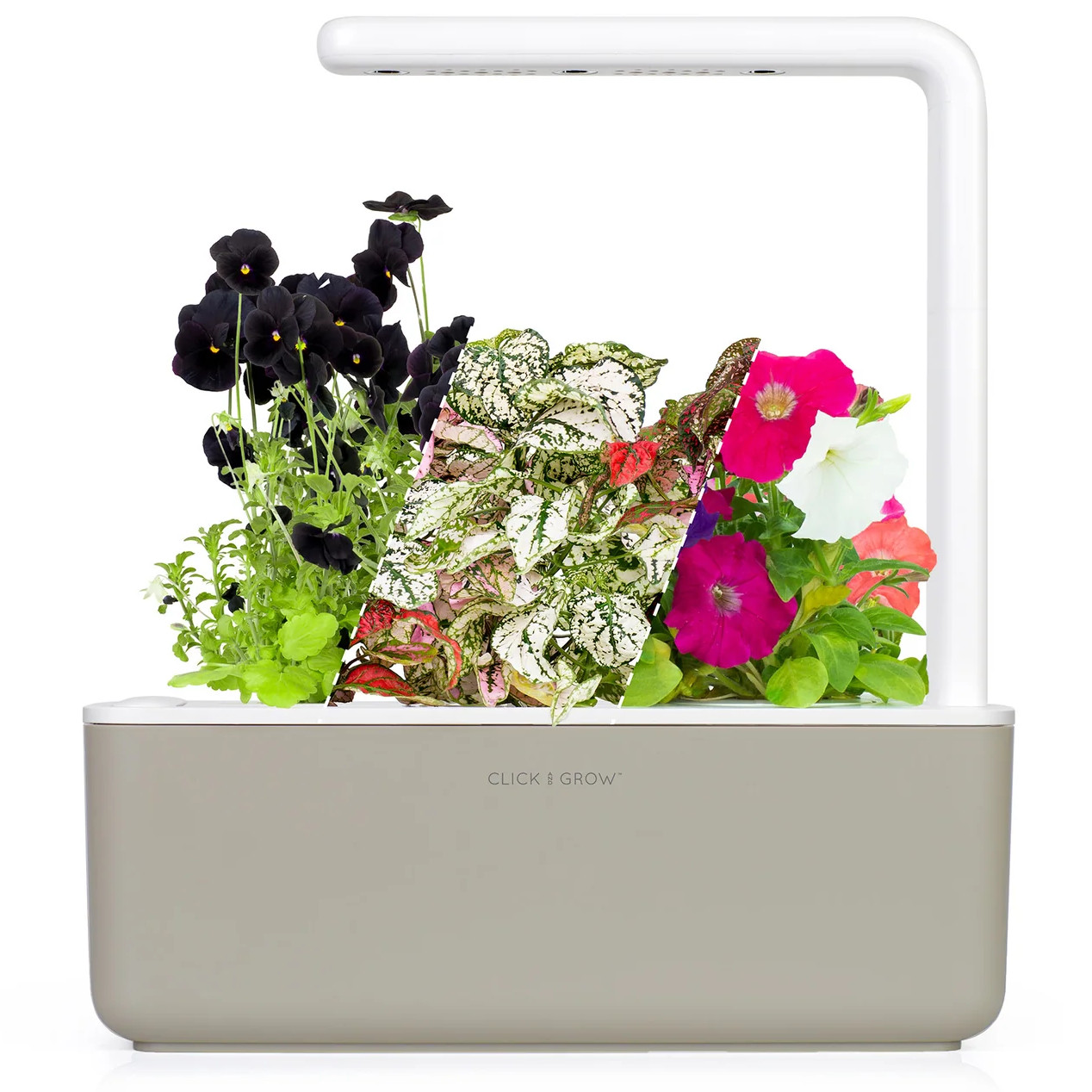 Click & Grow Indoor Vibrant Flower Gardening Kit | Smart Garden 3 with Grow Light and 12 Plant Pods