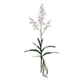 thumbnail image 1 of Vickerman FC180779 30,5 Po. Vaporisateur pour Orchidée Rose & Blanc Mini, 1 of 3
