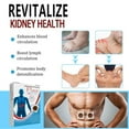 thumbnail image 3 of Parche De Apoyo A La Salud Renal, Circulación Sanguínea Acelerada, Alivia La Fatiga, Parche De Apoyo A La Función Renal Para Dormir, 3 of 7