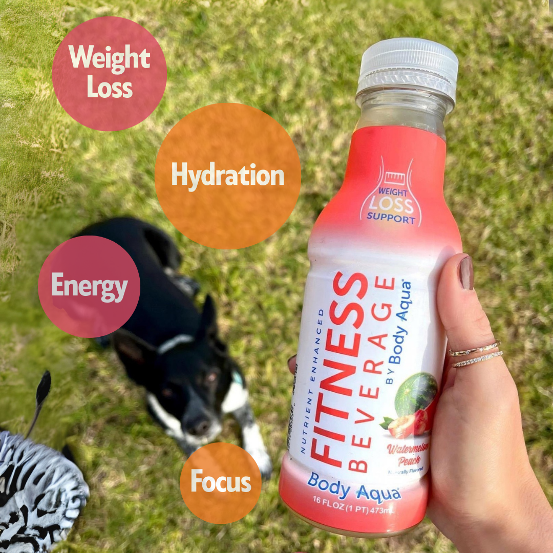 Body Aqua Fitness Beverage Watermelon Peach Mango Pineapple Flavor No Sugar Added Caffeine-Free 12 Pack 16 fl oz