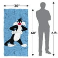 thumbnail image 6 of Looney Tunes Beach Towel, 30"x60" Sylvester Character Beach Towel, 6 of 6
