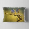 thumbnail image 2 of Designart Dragon Fly Watercolor Illustration - Animal Throw Pillow - 12x20, 2 of 5