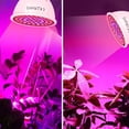 thumbnail image 5 of ALORINA E14 LED Plant Grow Light Bulb with Red Blue Spectrum, 80 LEDs Full Spectrum Growth Lamp for Indoor Plants, Hydroponics, and Greenhouse Gardening, 5 of 5