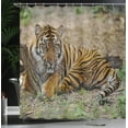 thumbnail image 3 of Ambesonne Orange Cat Shower Curtain, Lying Tiger Photo Print, 69"Wx84"L, Caramel Olive Green, 3 of 4