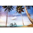 thumbnail image 3 of Cuadros en lienzo con paisajes de playa y vistas al mar, imágenes de árboles de coco, palmeras tropicales, pósteres de arte de pared para decoración del hogar, 3 of 5