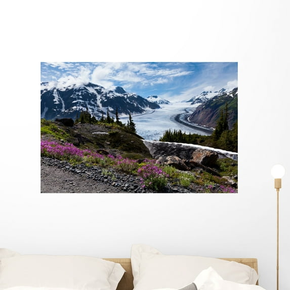 Salmon Glacier Wall Mural by Wallmonkeys Peel and Stick Graphic (36 in W x 24 in H) WM276693