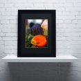 thumbnail image 3 of Trademark Fine Art "Multi-colored Discus" Canvas Art by Kurt Shaffer, Black Matte, Black Frame, 3 of 3