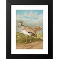 thumbnail image 2 of Johann Friedrich Naumann 14x18 Black Modern Framed Museum Art Print Titled - Houbara Macqueeni Gray, 2 of 5