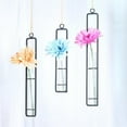 thumbnail image 4 of 3 Pcs Different Length Test Tube Hanging Glass Planter Bud Flower Vase Terrarium Container for Home Decoration Green Plants Wedding, 4 of 7