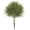 Green, variant on 23.6" Artificial Topiary Trees with Ground Spike Set of 2 - UV Resistant Cedar Bushes for Indoor/Outdoor Decor - Realistic for Porch, Garden, Office & Farmhouse