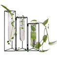 thumbnail image 1 of Juego de 3 jarrones de prueba con soporte de hierro para maceteros de vidrio hidropónico para colgar en la pared con soporte/soporte para decoración de propagación de plantas hidropónicas, 1 of 8
