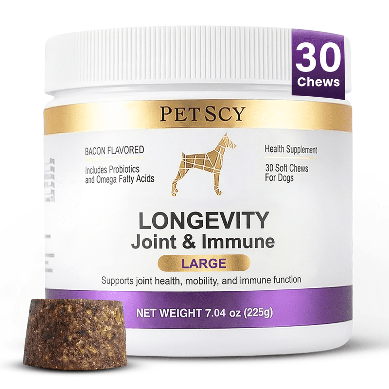Petscy Longevity Hip and Joint, Immune Support for Dogs – Large (7.5g Chew) – High Dose Glucosamine, MSM, Chondroitin, Green Lipped Mussel, Omega 3, Probiotics – 30 Chews (Large Dogs) – 3 Pack