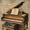 Books, Floral, variant on Victorian Dog Portrait Canvas Art Print, Vintage Dog Wall Art, Sophisticated Dog Decor, Ideal for Living Room, Bedroom, Office, Study, Library, Home Decor.