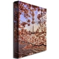 thumbnail image 2 of Trademark Fine Art "Cherry Blossoms at the Washington Monument" Canvas Art by Lois Bryan, 2 of 2
