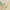 Vanilla, variant on Nourison Fantasy Botanical Ivory 1'9" x 2'9" Area Rug, (2x3)
