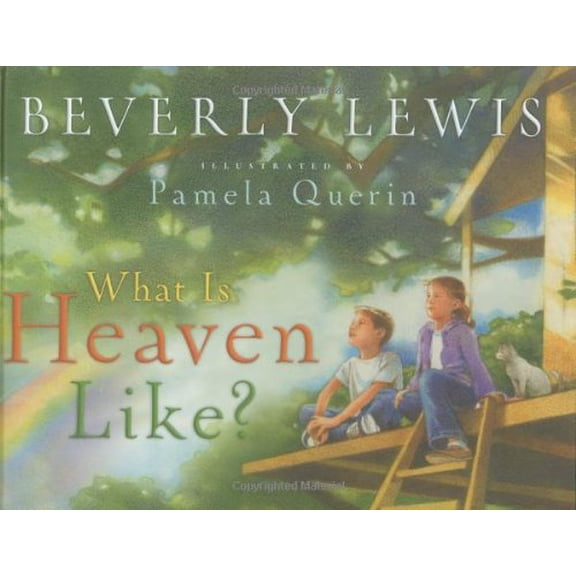 Pre-Owned What Is Heaven Like? (Hardcover) 0764201840 9780764201844