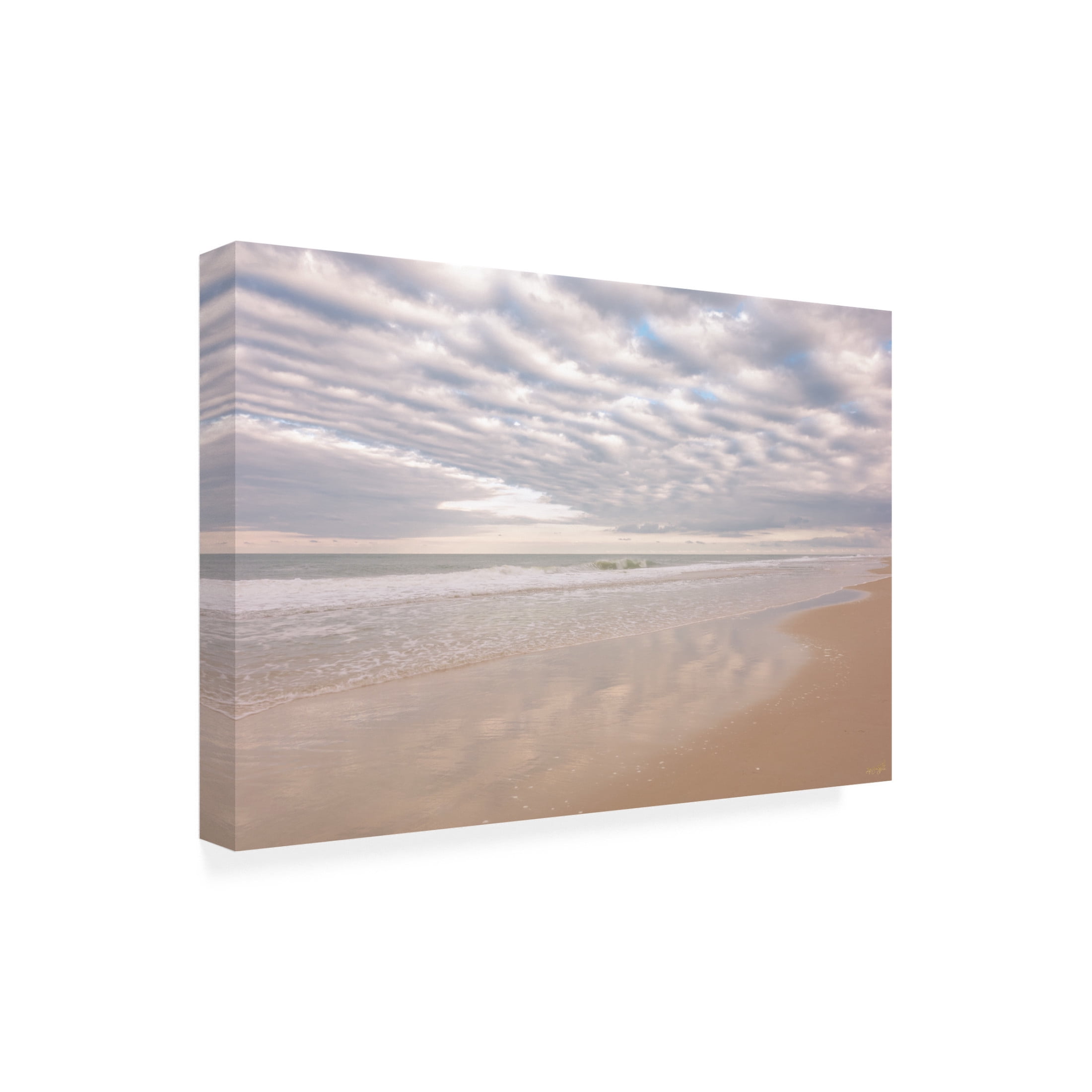 Canvas Wall Art - Life BeautifuLEE 'Delicious Cotton Harvest 2' Wall Art for Living Room, Bedroom, or Office Décor by Trademark Fine Art - 24 x 16 Inches