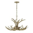thumbnail image 2 of Daniels 6-Light Chandelier in Natural Antler, 2 of 6