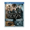 UsedWarner Bros. Fantastic Beasts: 2-Film Collection (Blu-ray)