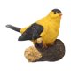 thumbnail image 1 of Casa colgante para pájaros, jaula estilo abeja para pájaros, casa para pájaros al aire libre, adorno de nido colgante, 1 of 8