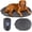 Midnight Forest, variant on Dog Travel Bed (42" x 30"), Packable Bed for Travel and Road Trips for Medium Breeds up to 75lbs, Machine Washable, Teal