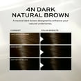 thumbnail image 5 of John Frieda Precision Foam Permanent Brown Hair Dye Color Kit, 4N Dark Natural Brown, 1 Application, 5 of 10