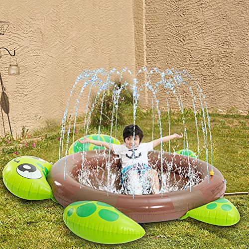 inflatable turtle pool toy