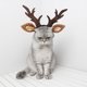 thumbnail image 5 of Sombreros navideños para mascotas, adornos para gatos, sombreros de cuerno de ciervo, decoraciones festivas, cuernos anticaída, sombreros de modelado, 5 of 7