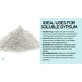 thumbnail image 3 of 5 Pounds Gypsum Soluble Grade Fertilizer Powder, 3 of 4