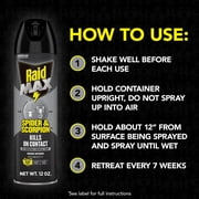 Raid MAX Indoor & Outdoor Spider & Scorpion Killer Bug Spray, 12 oz