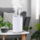 thumbnail image 5 of Inicio Humidificador de aire Difr de aceite esencial USB 3000ml para Gloria Mini humidificador de aire, 5 of 8