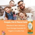 thumbnail image 5 of Absolute Green All Purpose Cleaner Spray, Multi-Surface Cleaner, Safe Around Kids + Pets, Orange Scent, 1 Pack, 25 oz, 5 of 5