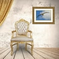thumbnail image 3 of Illg, Cathy and Gordon 24x17 Gold Ornate Wood Framed with Double Matting Museum Art Print Titled - Saunders Island Black-browed albatross in flight, 3 of 4