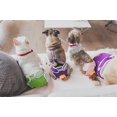 thumbnail image 3 of Washable Wonders™ Dog Diapers (Female), 3 of 4