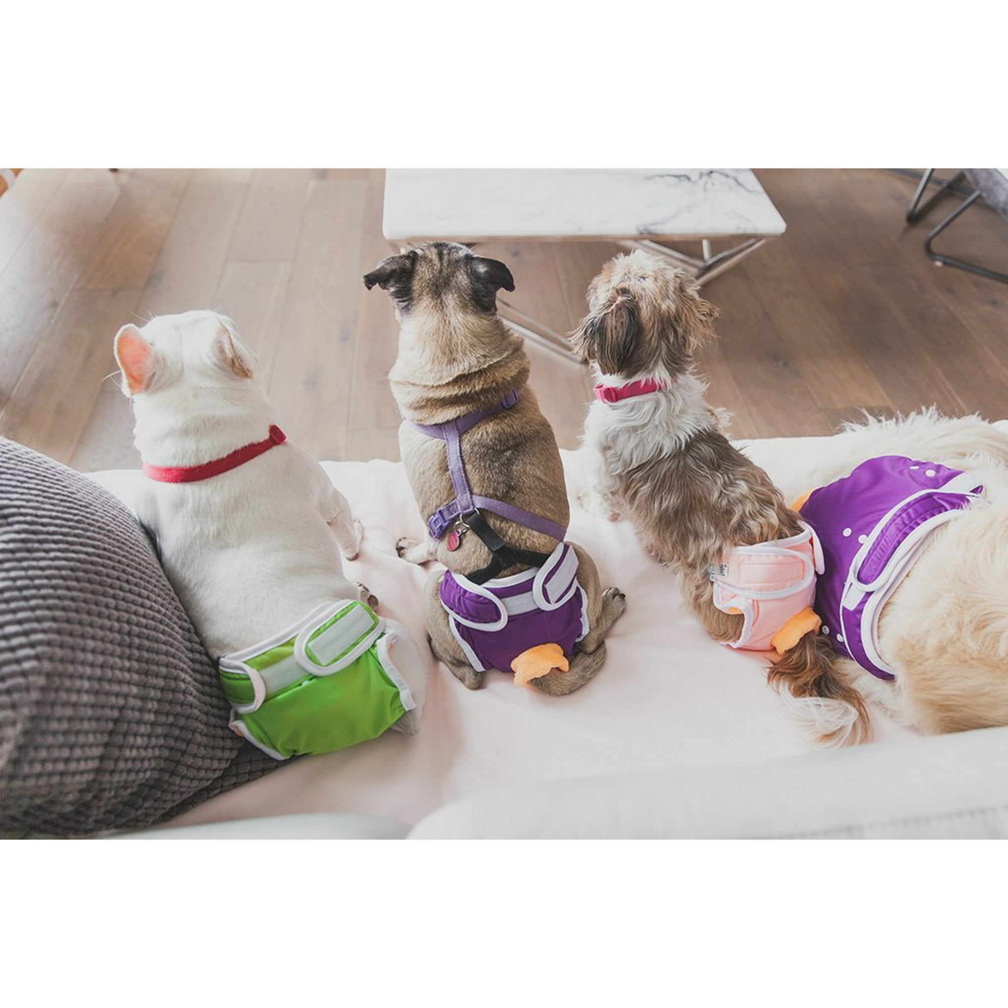 Washable Wonders Dog Diapers Female Walmart