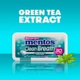 Mentos Clean Breath Hard Mints Sugar Free Candy, Wintergreen, (Pack of
