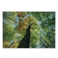 thumbnail image 3 of Tree Cutting Board, Forest in Autumn Green Nature Deciduous Foliage Growth Eco, Decorative Tempered Glass Cutting and Serving Board, Small Size, Dark Brown Pale Green, by Ambesonne, 3 of 5