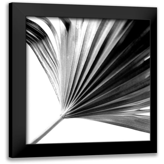 Johnson, Jason 12x12 Black Modern Framed Museum Art Print Titled - Black and White Palm II