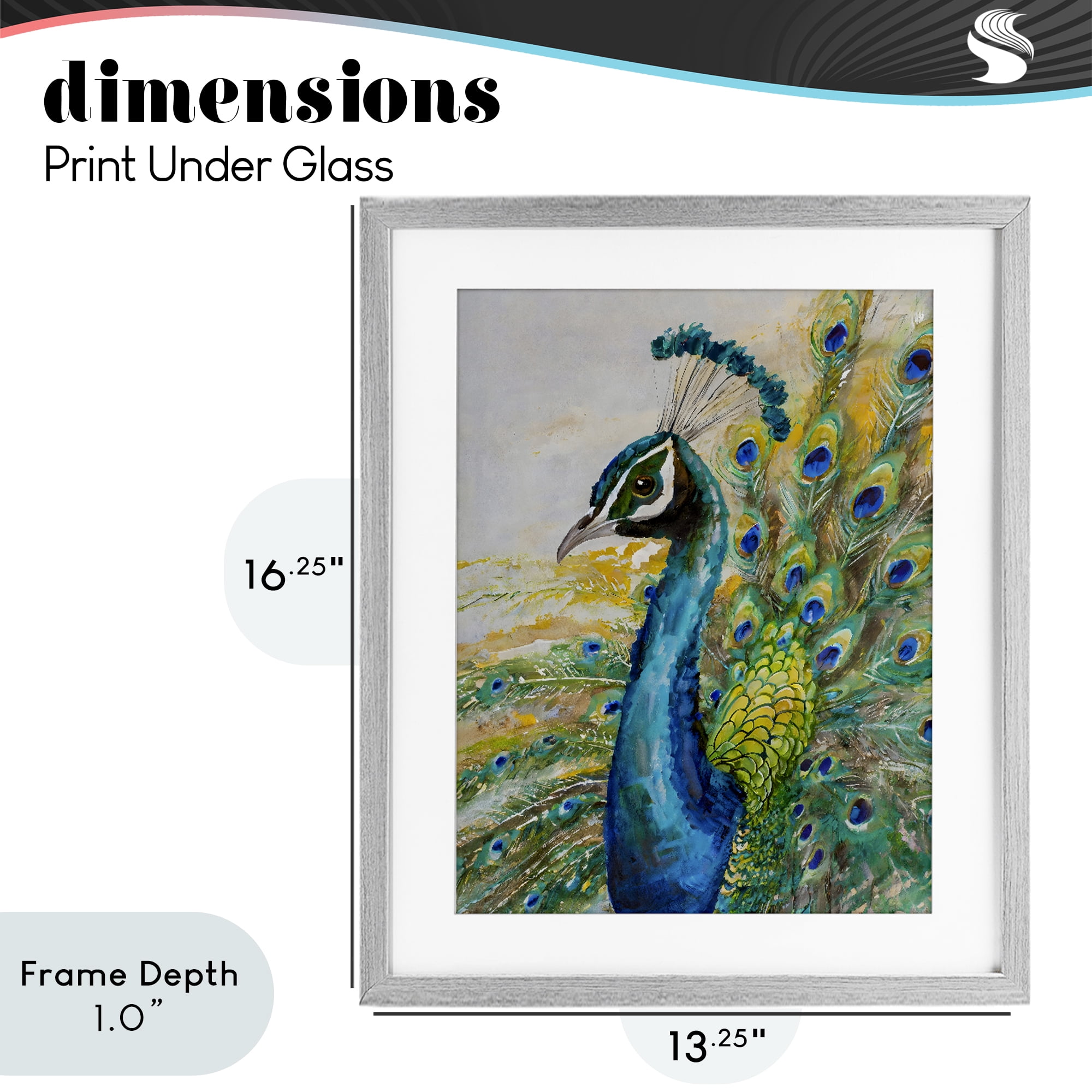 Stupell Industries Regal Blue Peacock Feathers Gray Framed Print Under Glass, design by Creative Studio