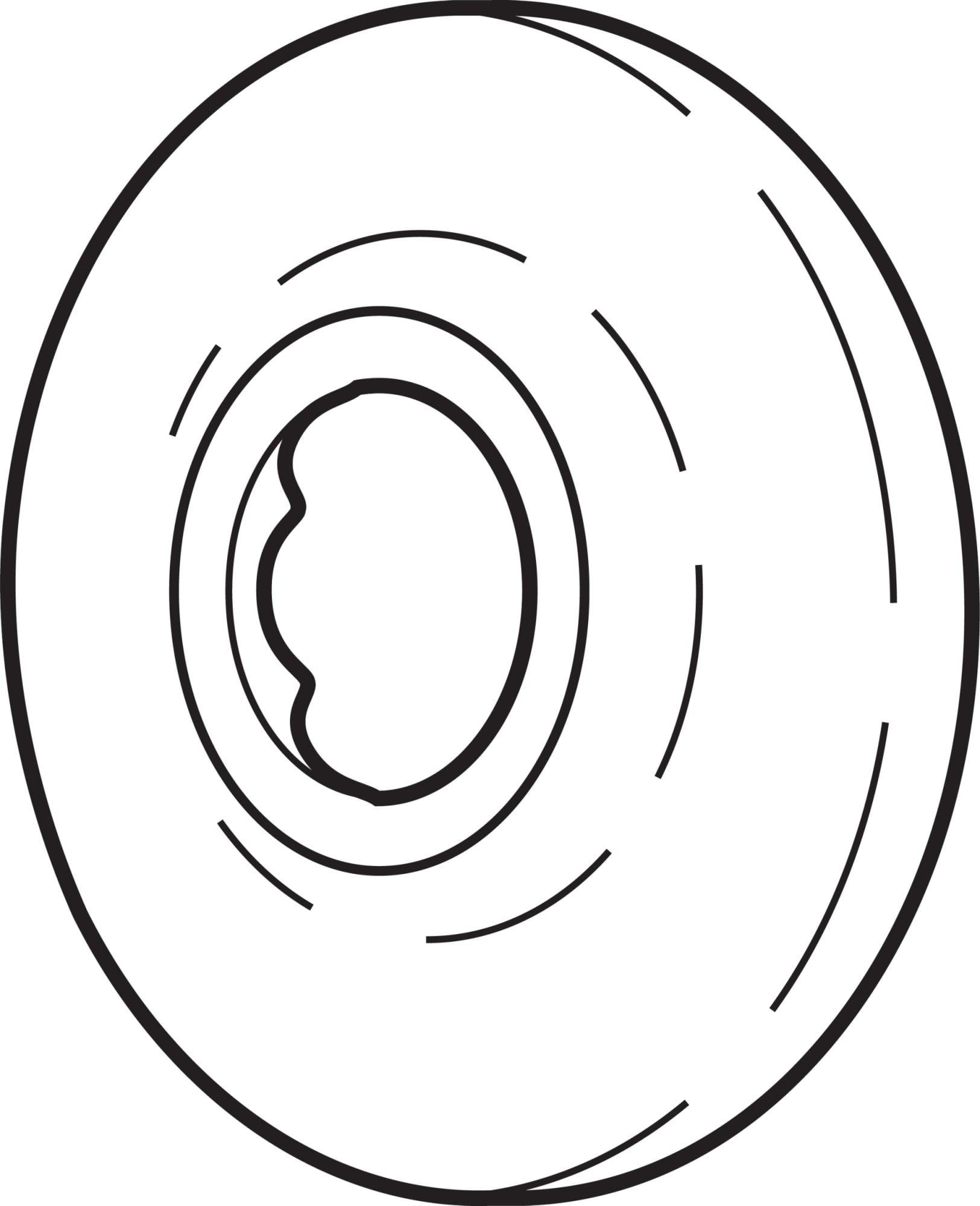 Delta Rp6025 Round Shower Arm Flange Brass