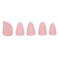 thumbnail image 1 of 5pcs Pipa Nails Finger Picks for String Instruments, Durable & Crack Resistant, 1 of 3