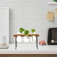 thumbnail image 3 of NICEXMAS 1Set Desktop Glass Vase with Wooden Stand Sturdy Hydroponic Plant Display Ornament, 3 of 5