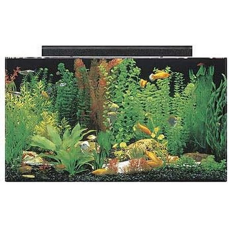 SeaClear 50 gal Acrylic Aquarium Combo Set, 36 by 15 by 20", Black Black 50 gal Rectangular