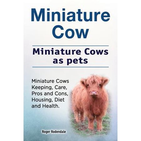 Miniature Cow. Miniature Cows as Pets. Miniature Cows ...
