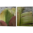 thumbnail image 1 of Great Art Now Butterfly Palm by Patricia Pinto 2 Piece Canvas Art Set Each 12W x 15H, 1 of 3